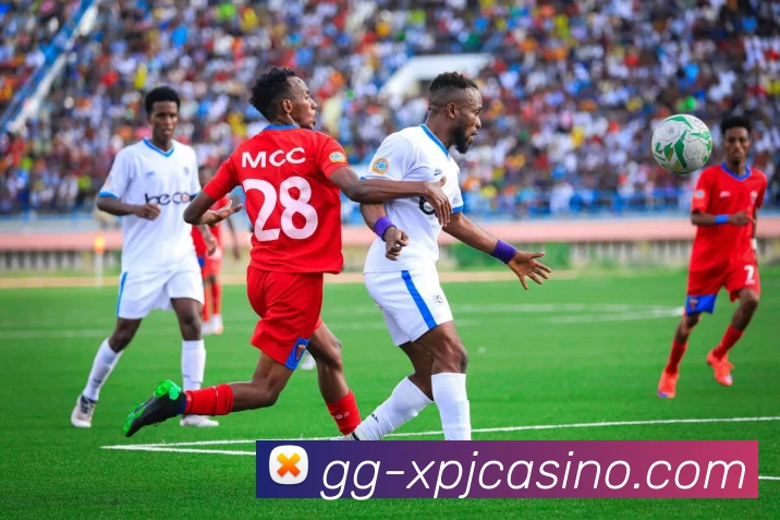 新葡京娱乐平台生态图